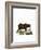 Cape Buffalo-null-Framed Giclee Print