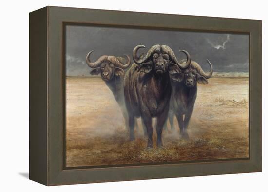 Cape Buffalos-Harro Maass-Framed Premier Image Canvas