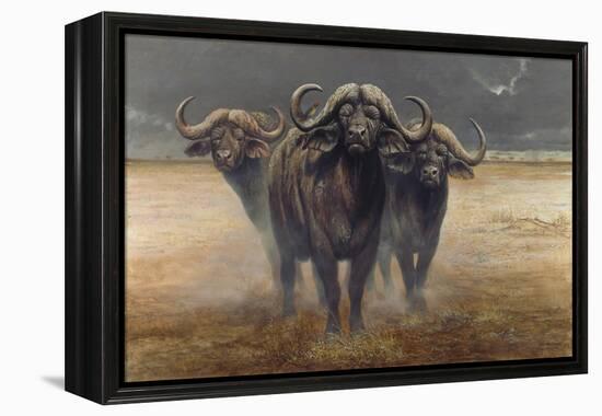 Cape Buffalos-Harro Maass-Framed Premier Image Canvas