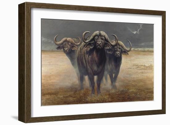 Cape Buffalos-Harro Maass-Framed Giclee Print