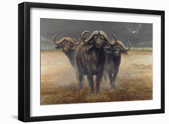 Cape Buffalos-Harro Maass-Framed Giclee Print