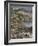 Cape Coast, Ghana, Africa-David Poole-Framed Photographic Print