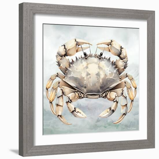 Cape Cod Crab-Nicole DeCamp-Framed Art Print