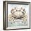 Cape Cod Crab-Nicole DeCamp-Framed Art Print