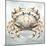 Cape Cod Crab-Nicole DeCamp-Mounted Art Print