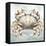 Cape Cod Crab-Nicole DeCamp-Framed Stretched Canvas