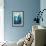 Cape Cod, Massachusetts - Great White Shark-Lantern Press-Framed Premium Giclee Print displayed on a wall