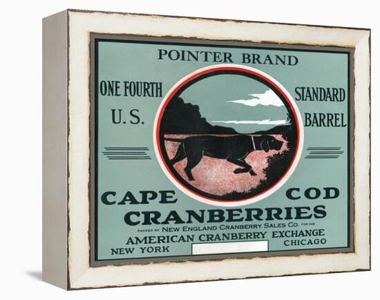 Cape Cod, Massachusetts - Pointer Brand Cranberry Label-Lantern Press-Framed Stretched Canvas