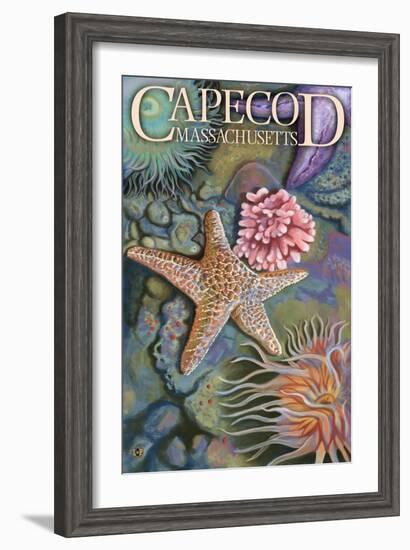 Cape Cod, Massachusetts - Tidepool-Lantern Press-Framed Art Print