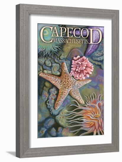 Cape Cod, Massachusetts - Tidepool-Lantern Press-Framed Art Print