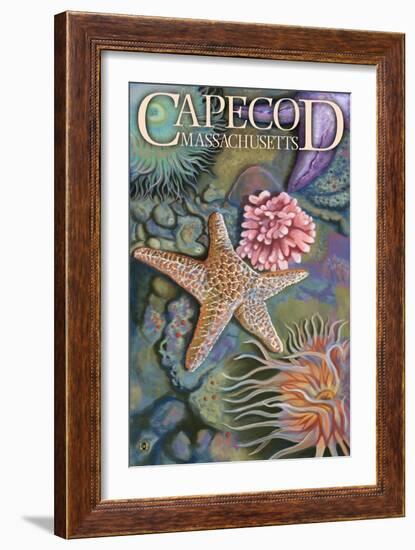 Cape Cod, Massachusetts - Tidepool-Lantern Press-Framed Art Print