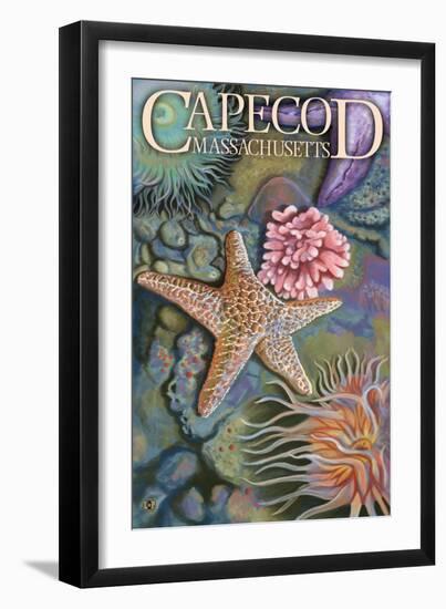 Cape Cod, Massachusetts - Tidepool-Lantern Press-Framed Art Print