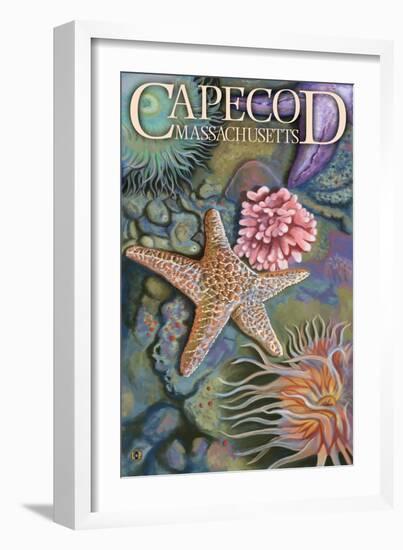 Cape Cod, Massachusetts - Tidepool-Lantern Press-Framed Art Print