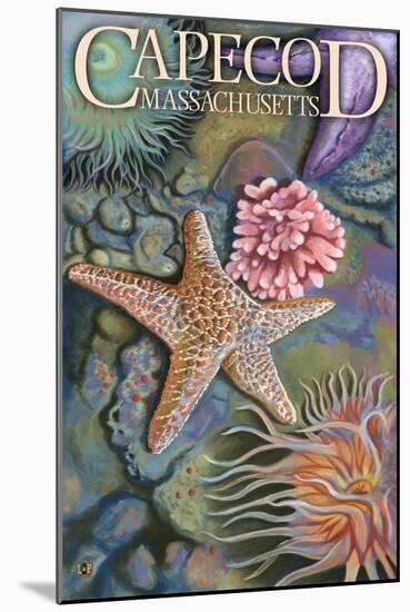 Cape Cod, Massachusetts - Tidepool-Lantern Press-Mounted Art Print