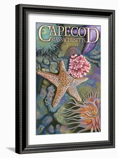 Cape Cod, Massachusetts - Tidepool-Lantern Press-Framed Art Print