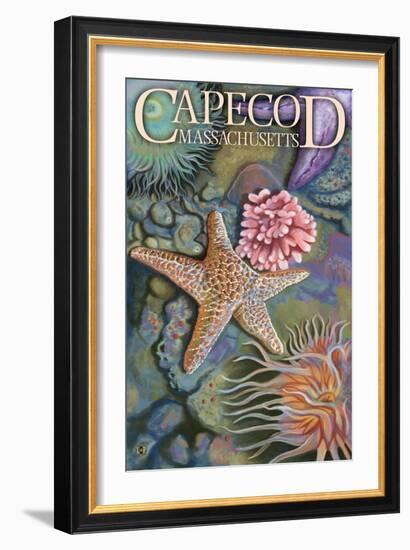 Cape Cod, Massachusetts - Tidepool-Lantern Press-Framed Art Print