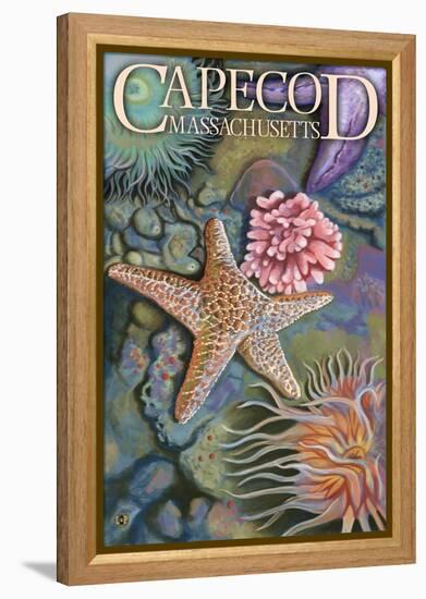 Cape Cod, Massachusetts - Tidepool-Lantern Press-Framed Stretched Canvas