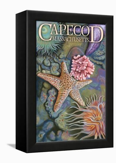 Cape Cod, Massachusetts - Tidepool-Lantern Press-Framed Stretched Canvas