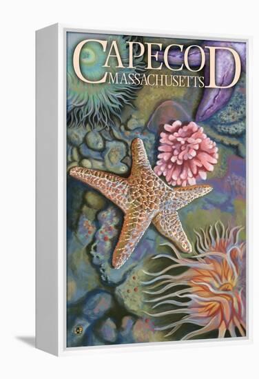 Cape Cod, Massachusetts - Tidepool-Lantern Press-Framed Stretched Canvas