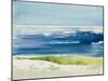 Cape Cod Seashore-Lanie Loreth-Mounted Art Print