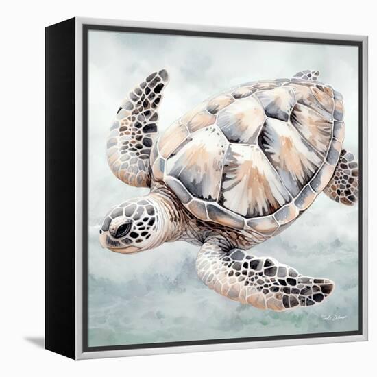 Cape Cod Turtle-Nicole DeCamp-Framed Stretched Canvas