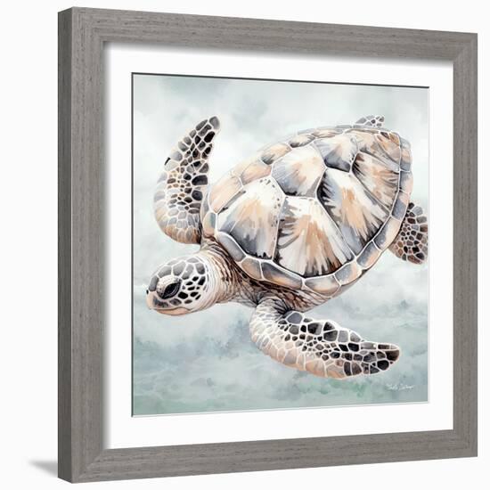 Cape Cod Turtle-Nicole DeCamp-Framed Art Print