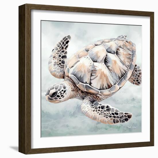Cape Cod Turtle-Nicole DeCamp-Framed Art Print