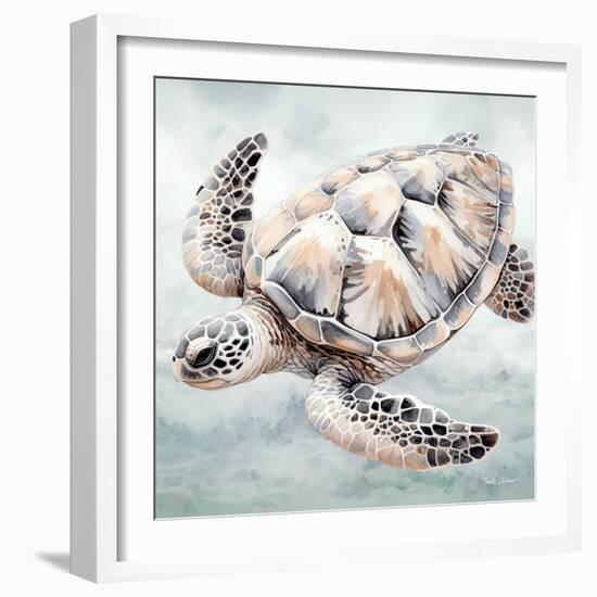 Cape Cod Turtle-Nicole DeCamp-Framed Art Print