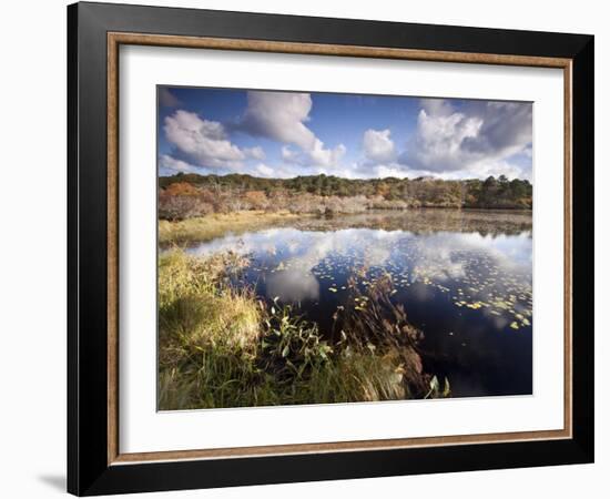 Cape Cod Wetlands, Massachusetts, USA-William Sutton-Framed Photographic Print