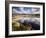 Cape Cod Wetlands, Massachusetts, USA-William Sutton-Framed Photographic Print