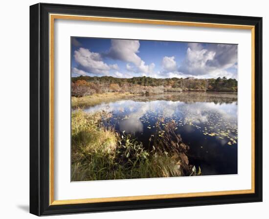 Cape Cod Wetlands, Massachusetts, USA-William Sutton-Framed Photographic Print