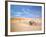 Cape Cod-Alan Klug-Framed Photographic Print