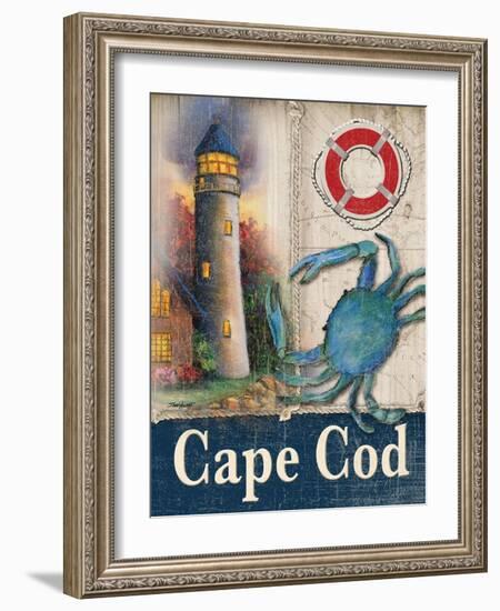 Cape Cod-Todd Williams-Framed Art Print