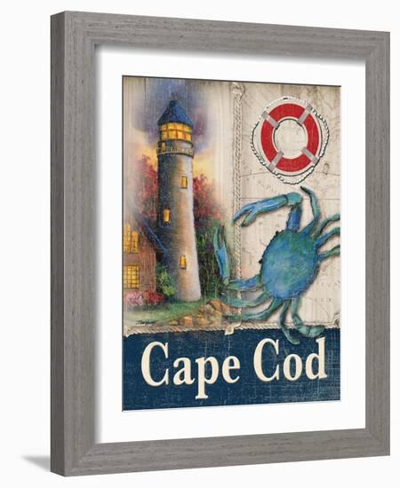 Cape Cod-Todd Williams-Framed Art Print