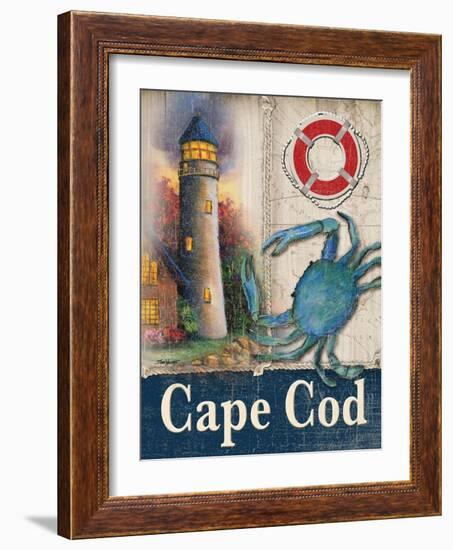 Cape Cod-Todd Williams-Framed Art Print