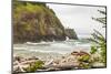 Cape Disappointment State Park, Washington. Surf crashing on the rocks at Cape Disappointment SP-Emily Wilson-Mounted Photographic Print