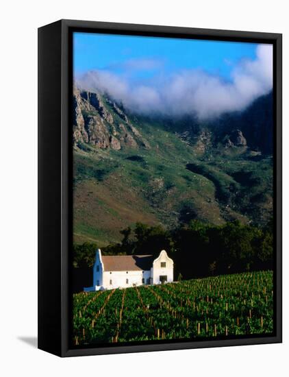 Cape Dutch Colonial Manor House and Vineyard with Mountain Backdrop, Dornier, South Africa-Ariadne Van Zandbergen-Framed Premier Image Canvas