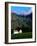 Cape Dutch Colonial Manor House and Vineyard with Mountain Backdrop, Dornier, South Africa-Ariadne Van Zandbergen-Framed Photographic Print