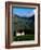 Cape Dutch Colonial Manor House and Vineyard with Mountain Backdrop, Dornier, South Africa-Ariadne Van Zandbergen-Framed Photographic Print