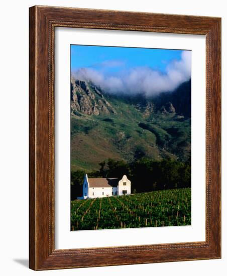 Cape Dutch Colonial Manor House and Vineyard with Mountain Backdrop, Dornier, South Africa-Ariadne Van Zandbergen-Framed Photographic Print