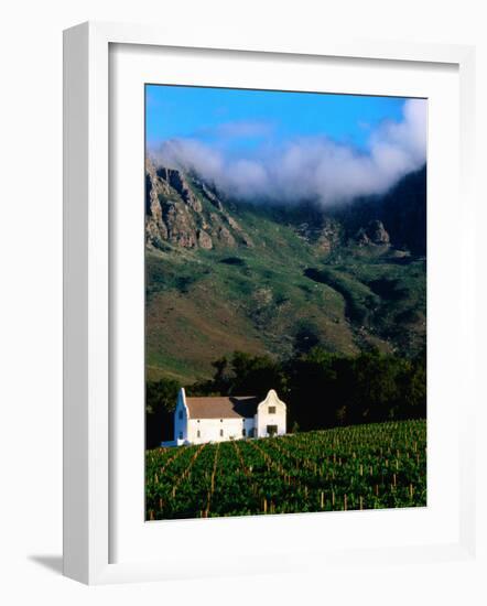 Cape Dutch Colonial Manor House and Vineyard with Mountain Backdrop, Dornier, South Africa-Ariadne Van Zandbergen-Framed Photographic Print