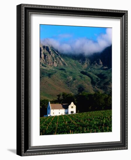 Cape Dutch Colonial Manor House and Vineyard with Mountain Backdrop, Dornier, South Africa-Ariadne Van Zandbergen-Framed Photographic Print