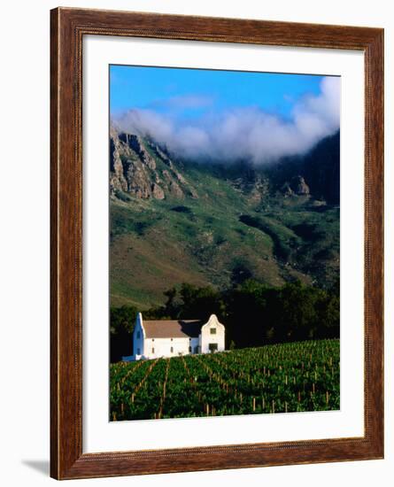 Cape Dutch Colonial Manor House and Vineyard with Mountain Backdrop, Dornier, South Africa-Ariadne Van Zandbergen-Framed Photographic Print