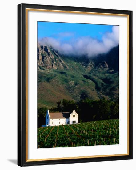 Cape Dutch Colonial Manor House and Vineyard with Mountain Backdrop, Dornier, South Africa-Ariadne Van Zandbergen-Framed Photographic Print