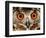 Cape Eagle Owl Eyes-Martin Harvey-Framed Photographic Print