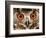 Cape Eagle Owl Eyes-Martin Harvey-Framed Photographic Print