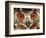 Cape Eagle Owl Eyes-Martin Harvey-Framed Photographic Print