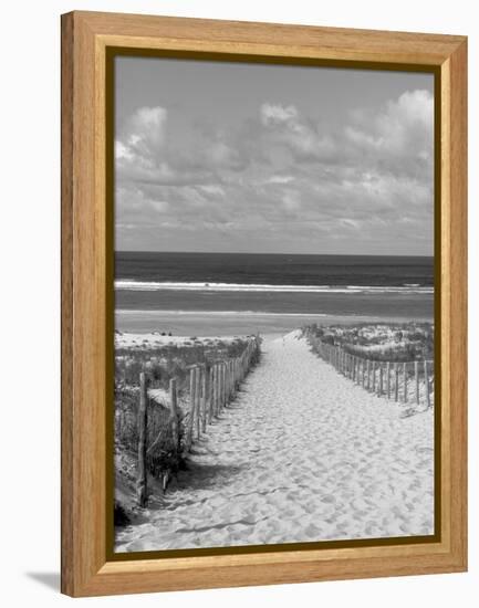 Cape Ferret, Basin d'Arcachon, Gironde, Aquitaine, France-Doug Pearson-Framed Premier Image Canvas