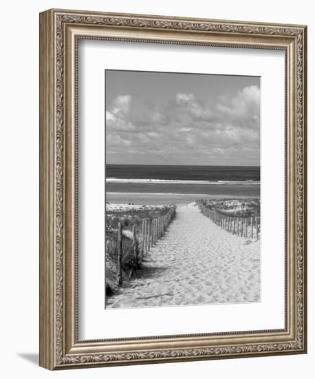 Cape Ferret, Basin d'Arcachon, Gironde, Aquitaine, France-Doug Pearson-Framed Photographic Print