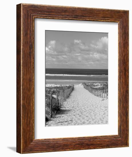 Cape Ferret, Basin d'Arcachon, Gironde, Aquitaine, France-Doug Pearson-Framed Photographic Print